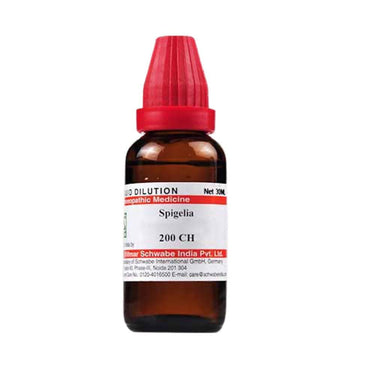 https://cdn.shopify.com/s/files/1/1857/6931/products/Sbef7bVXag.jpg?v=1613911831